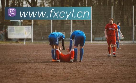 bat365在线登录网站注册赠送36平台生态图